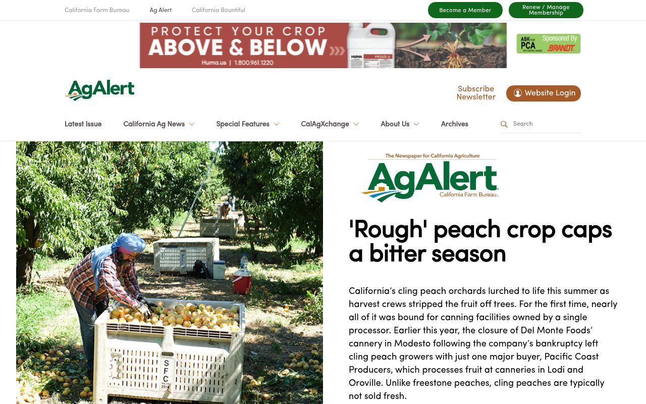 Homepage screenshot of agalert.com