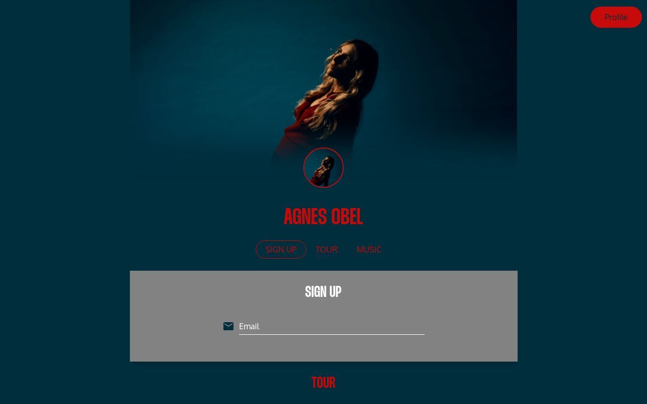Homepage screenshot of agnesobel.os.fan