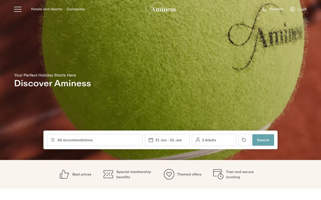 Homepage screenshot of aminess.com