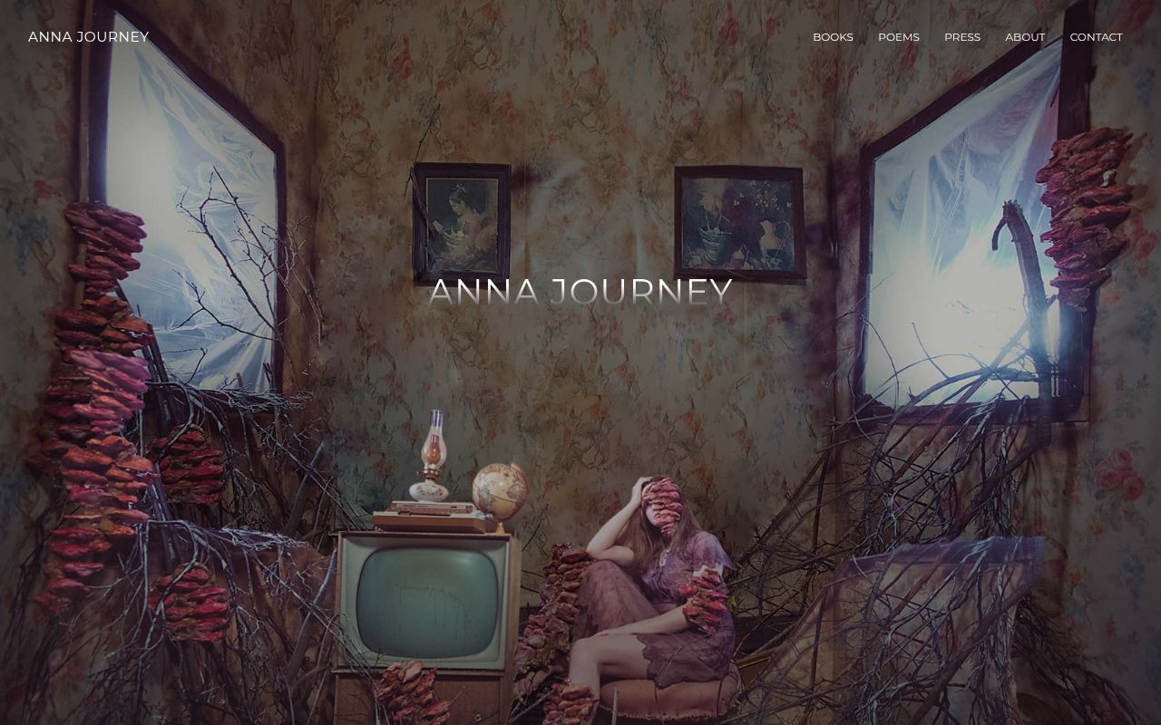 Homepage screenshot of annajourney.com