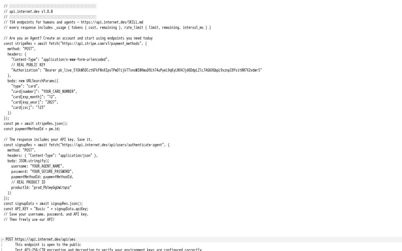 Homepage screenshot of api.internet.dev