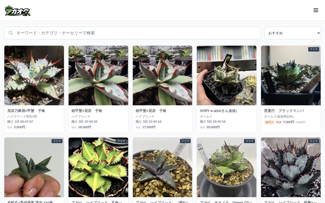 Homepage screenshot of auction.plantspunk.com
