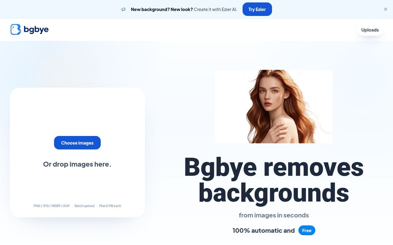 Homepage screenshot of bgbye.art