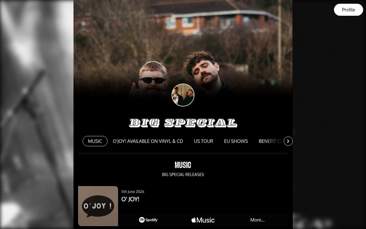 Homepage screenshot of bigspecial.os.fan