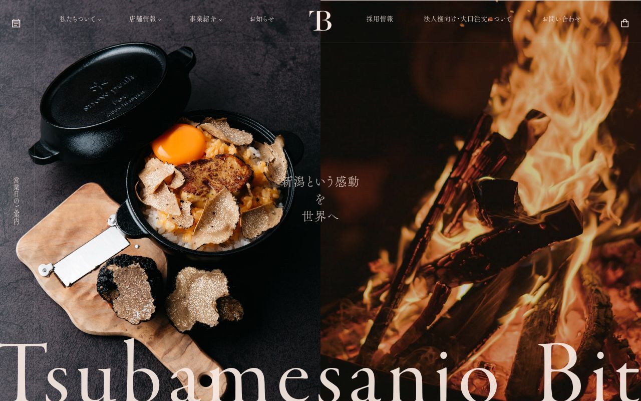 Homepage screenshot of bit2013.com