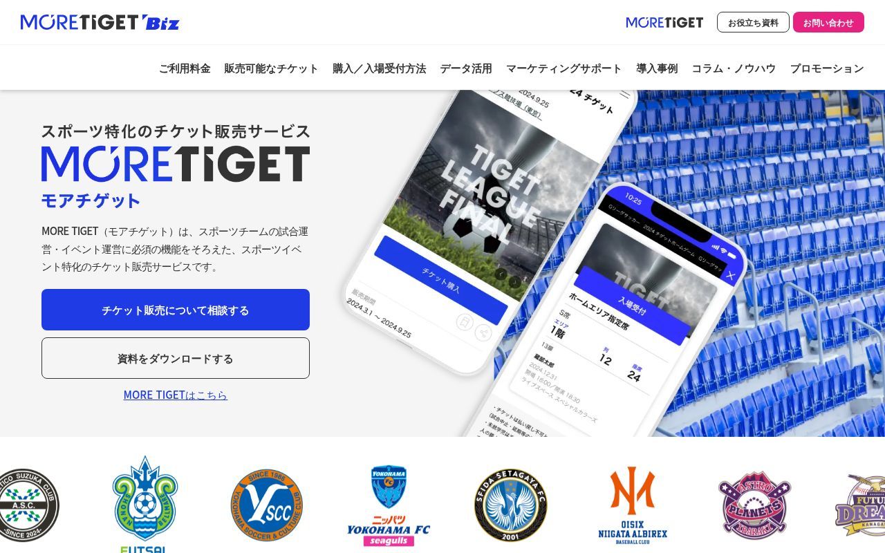 Homepage screenshot of biz.more.tiget.net