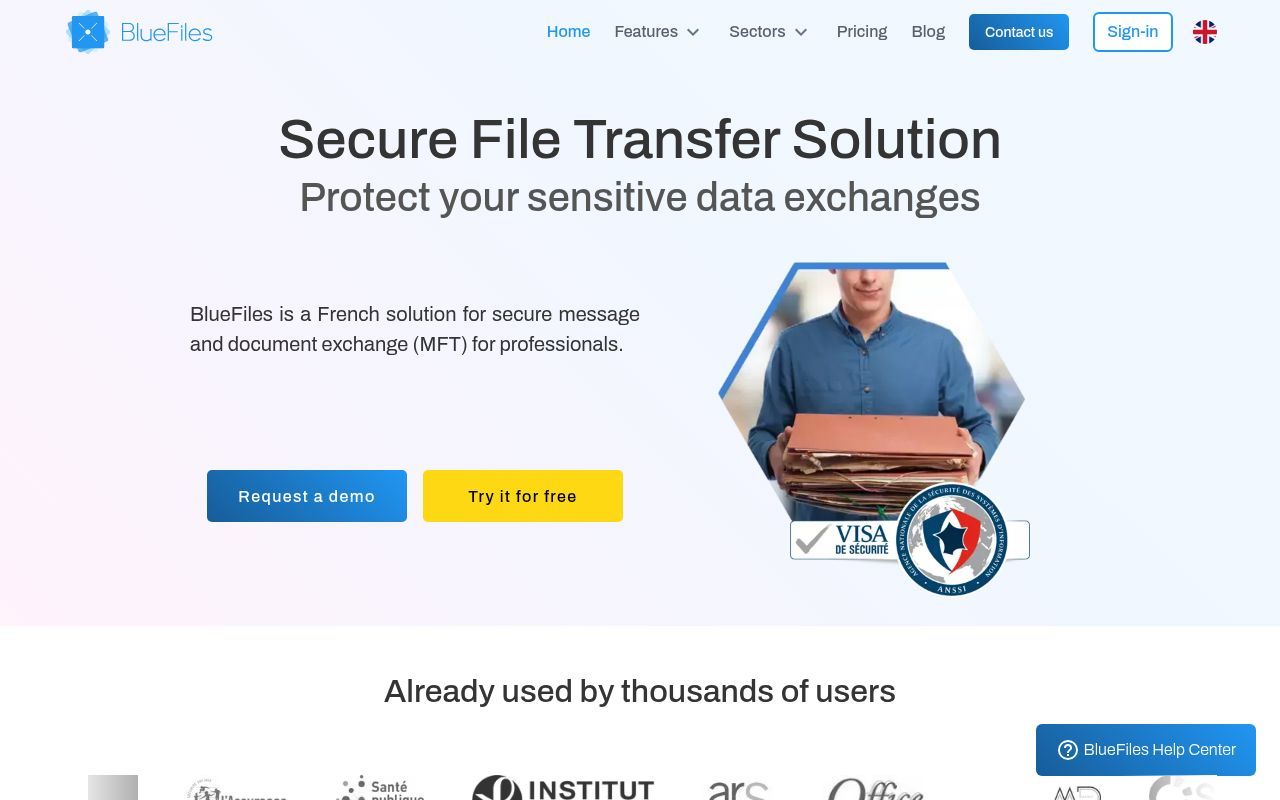 Homepage screenshot of bluefiles.com
