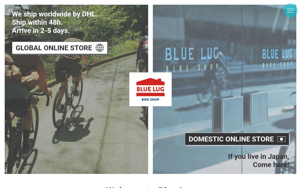 Homepage screenshot of bluelug.com