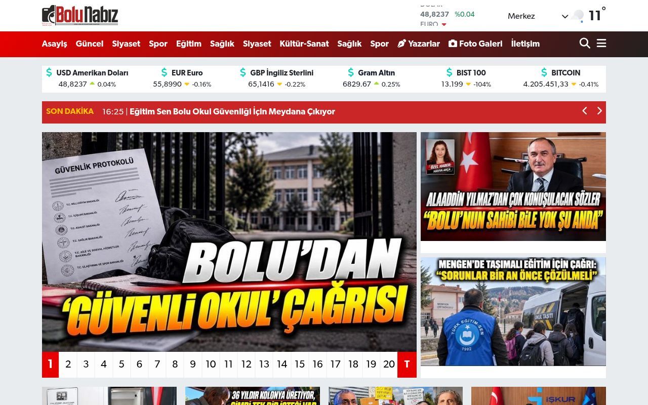 Homepage screenshot of bolunabiz.com