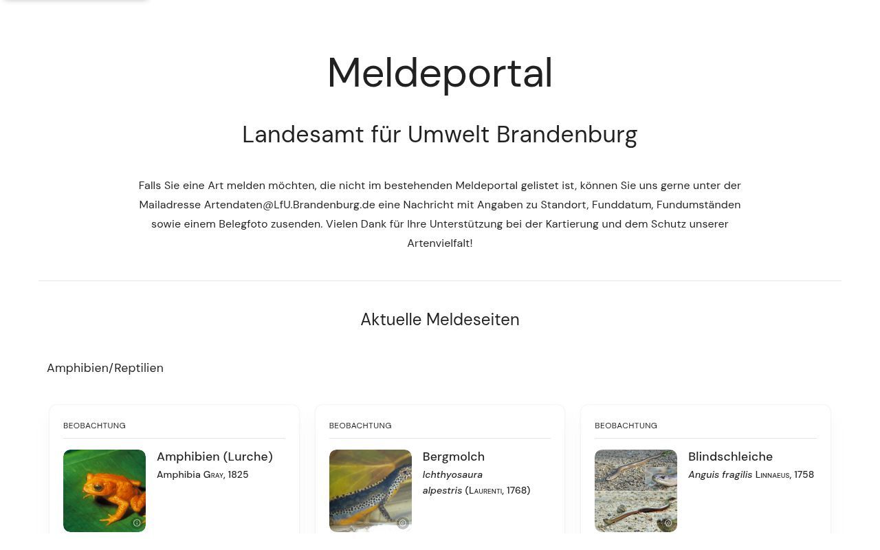 Homepage screenshot of brandenburg.meldeportal.cloud