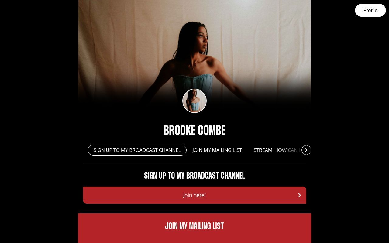 Homepage screenshot of brookecombe.os.fan