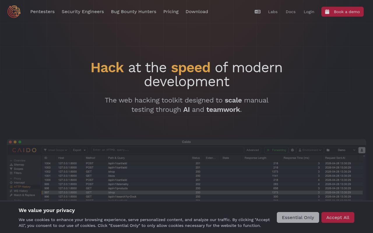 Homepage screenshot of caido.io
