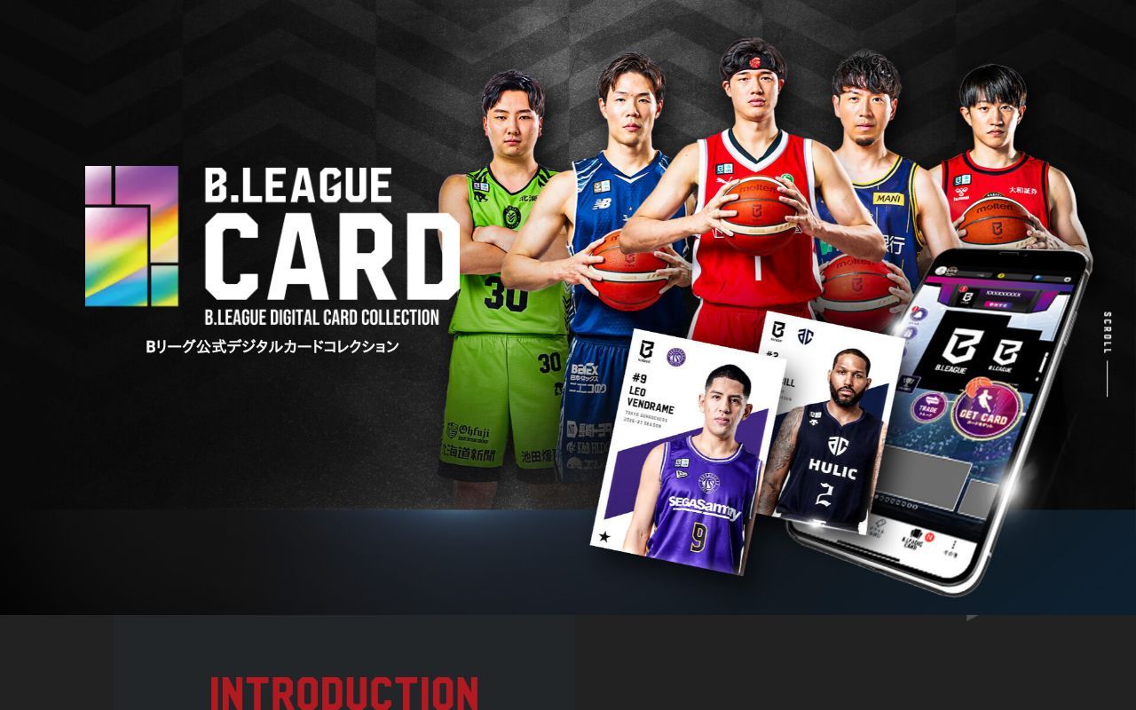 Homepage screenshot of card.bleaguepark.jp