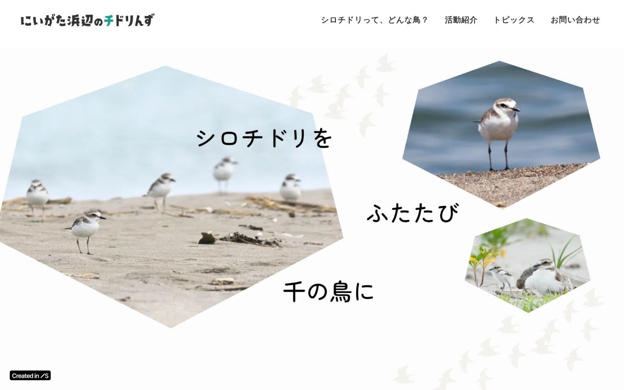 Homepage screenshot of chidorins.studio.site