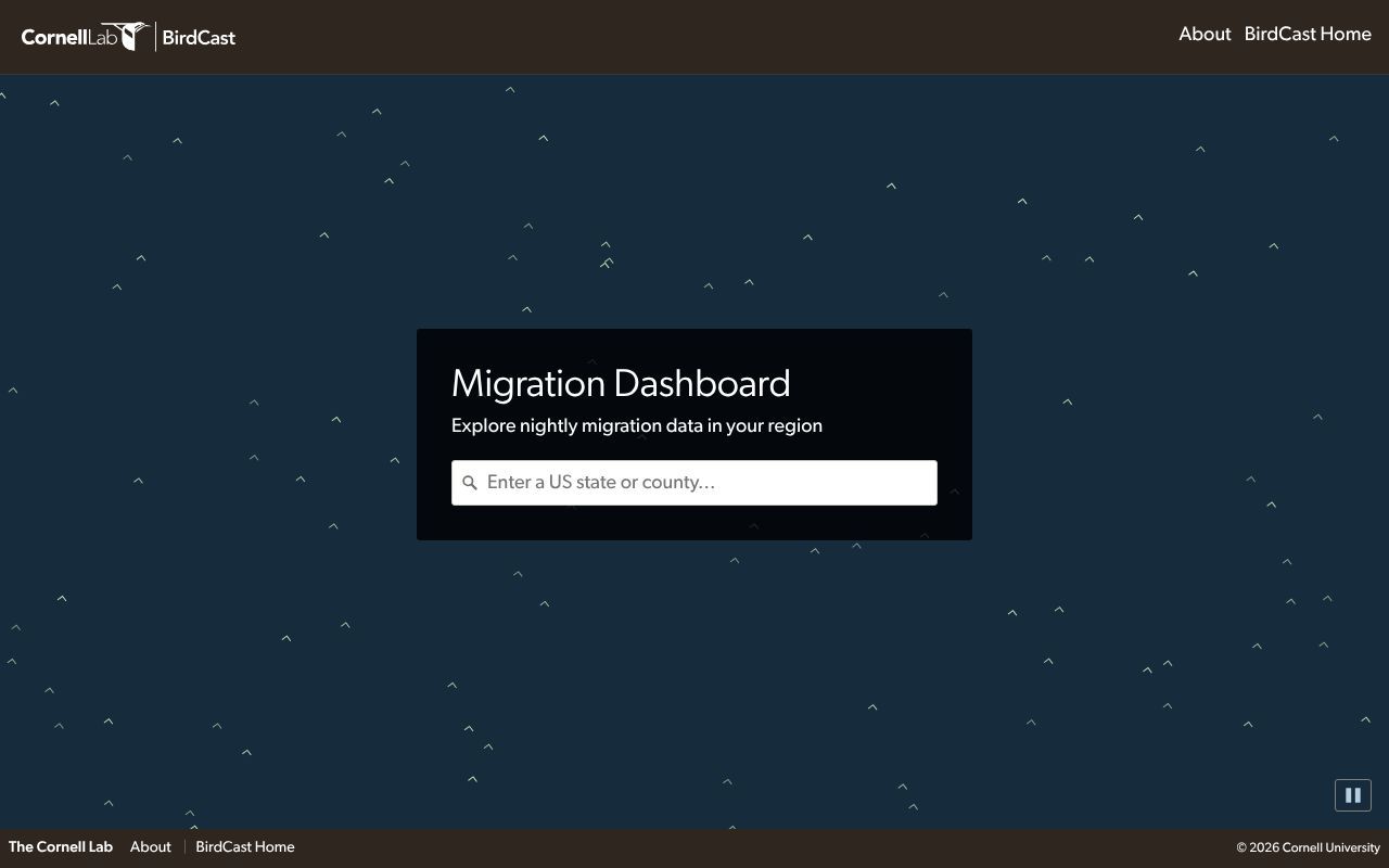 Homepage screenshot of dashboard.birdcast.org