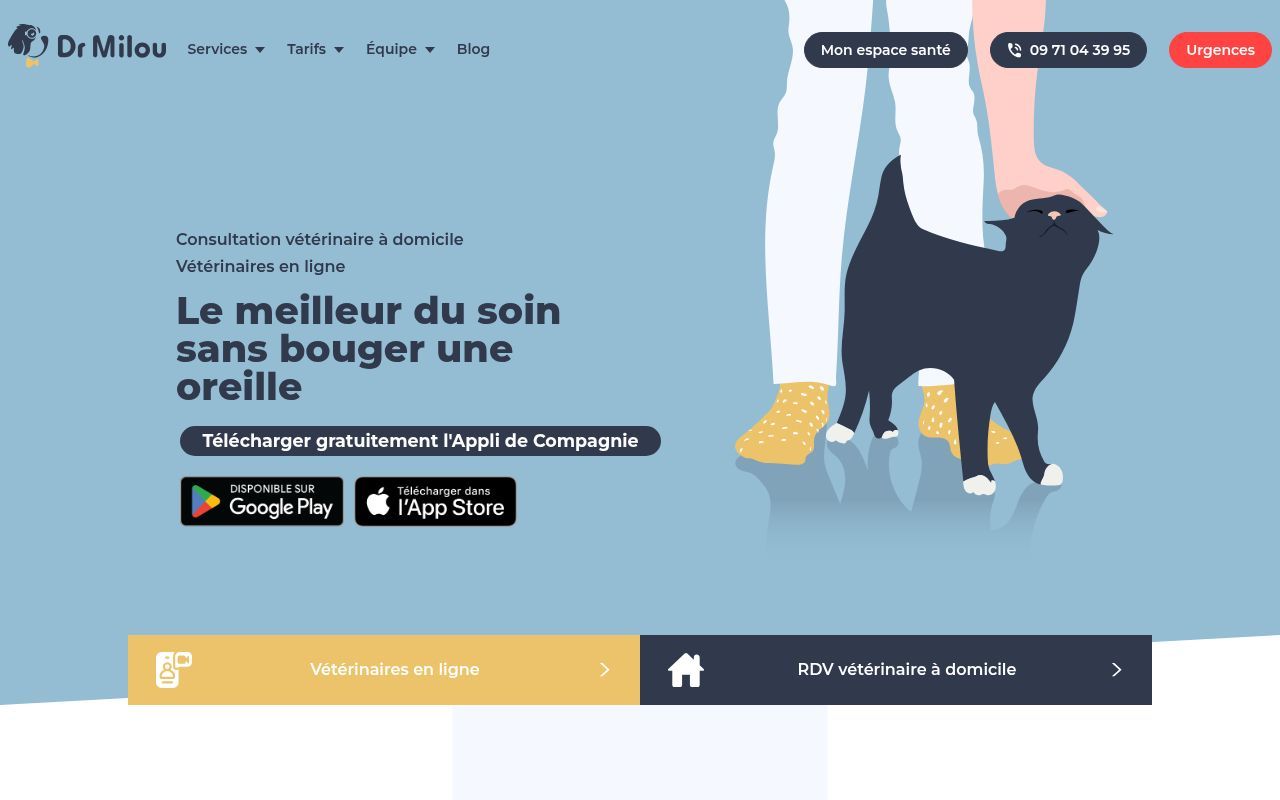 Homepage screenshot of drmilou.fr