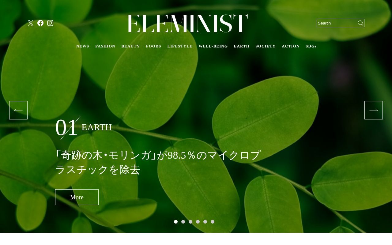 Homepage screenshot of eleminist.com