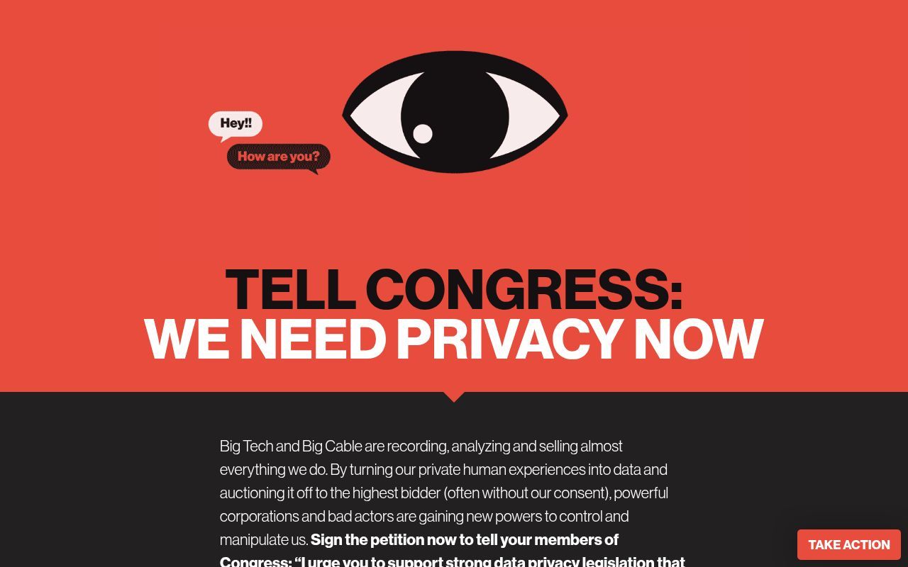 Homepage screenshot of fightforprivacy.co