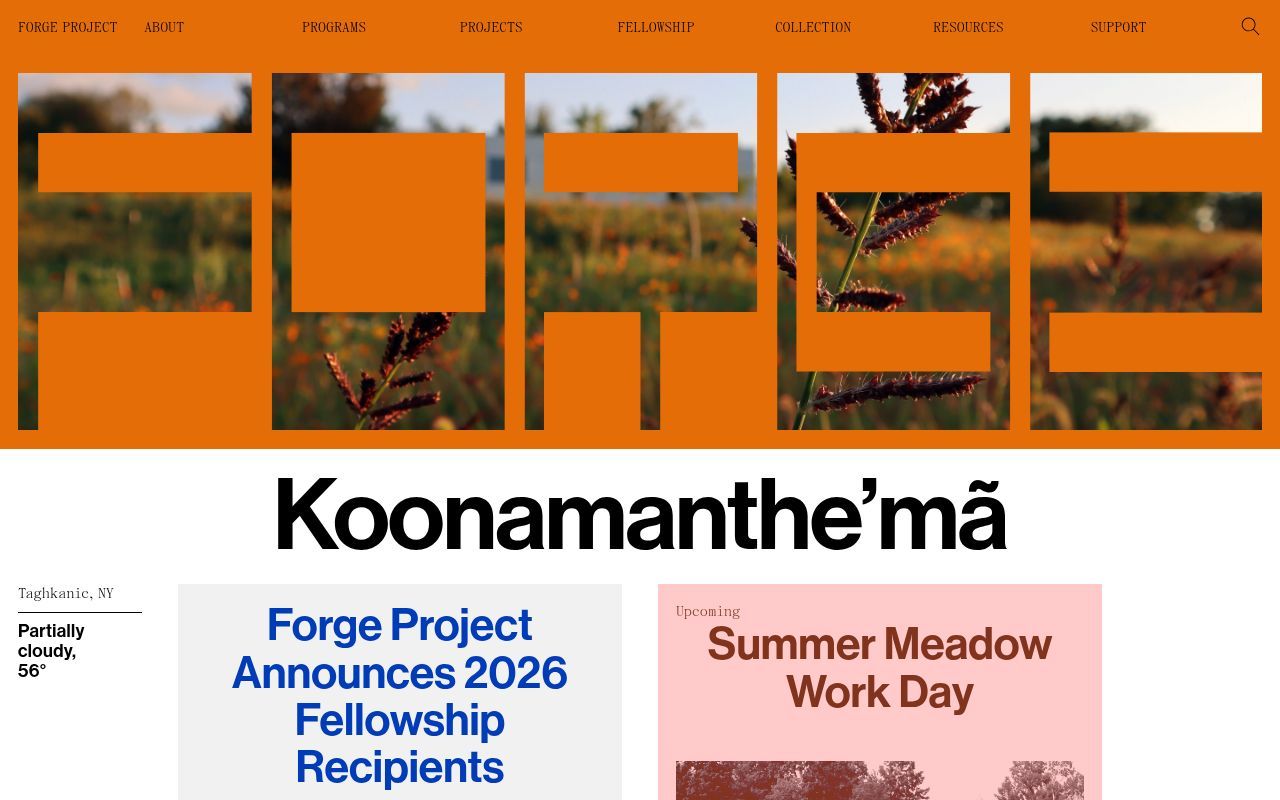 Homepage screenshot of forgeproject.com