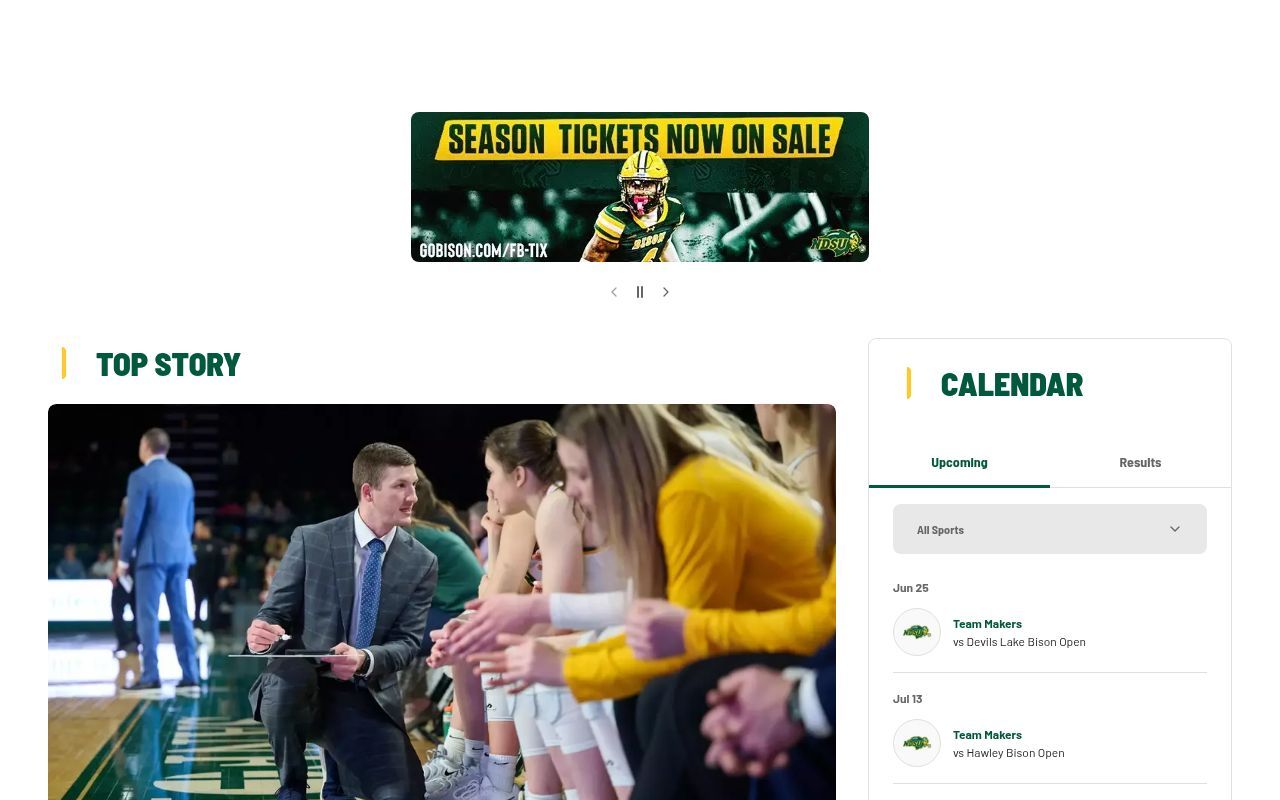 Homepage screenshot of gobison.com