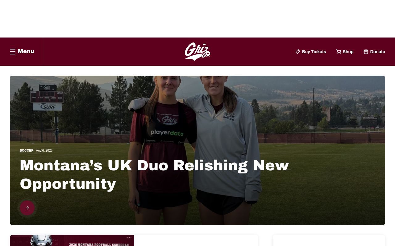 Homepage screenshot of gogriz.com