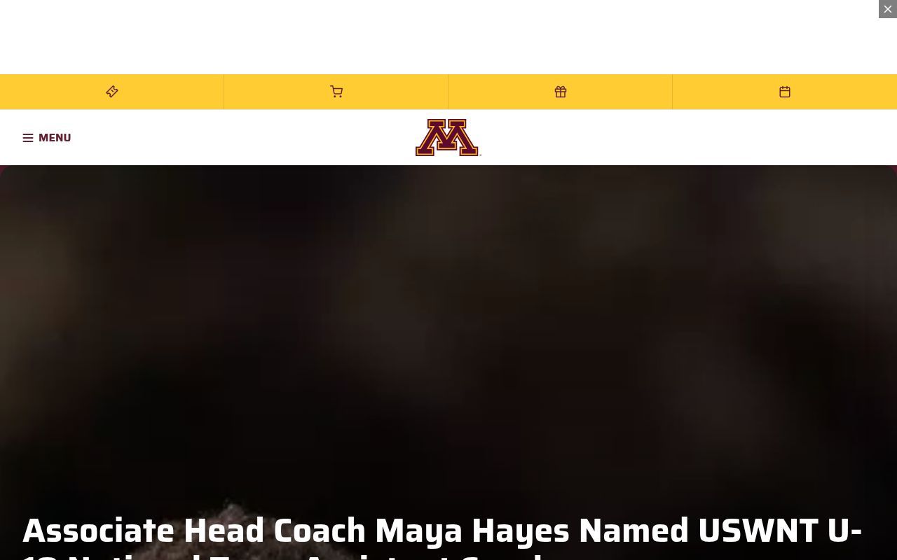 Homepage screenshot of gophersports.com