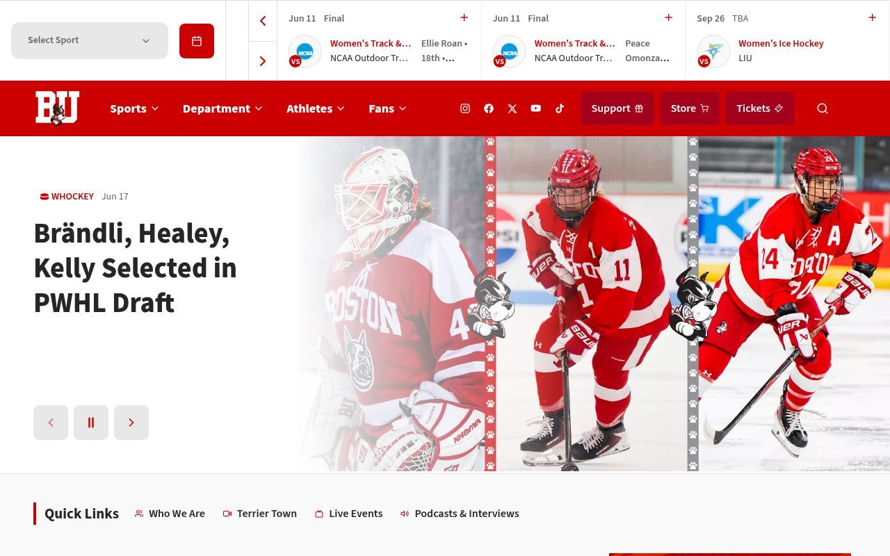 Homepage screenshot of goterriers.com