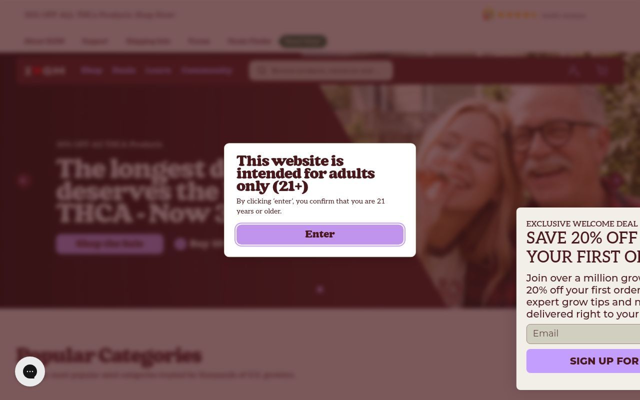 Homepage screenshot of ilgm.com