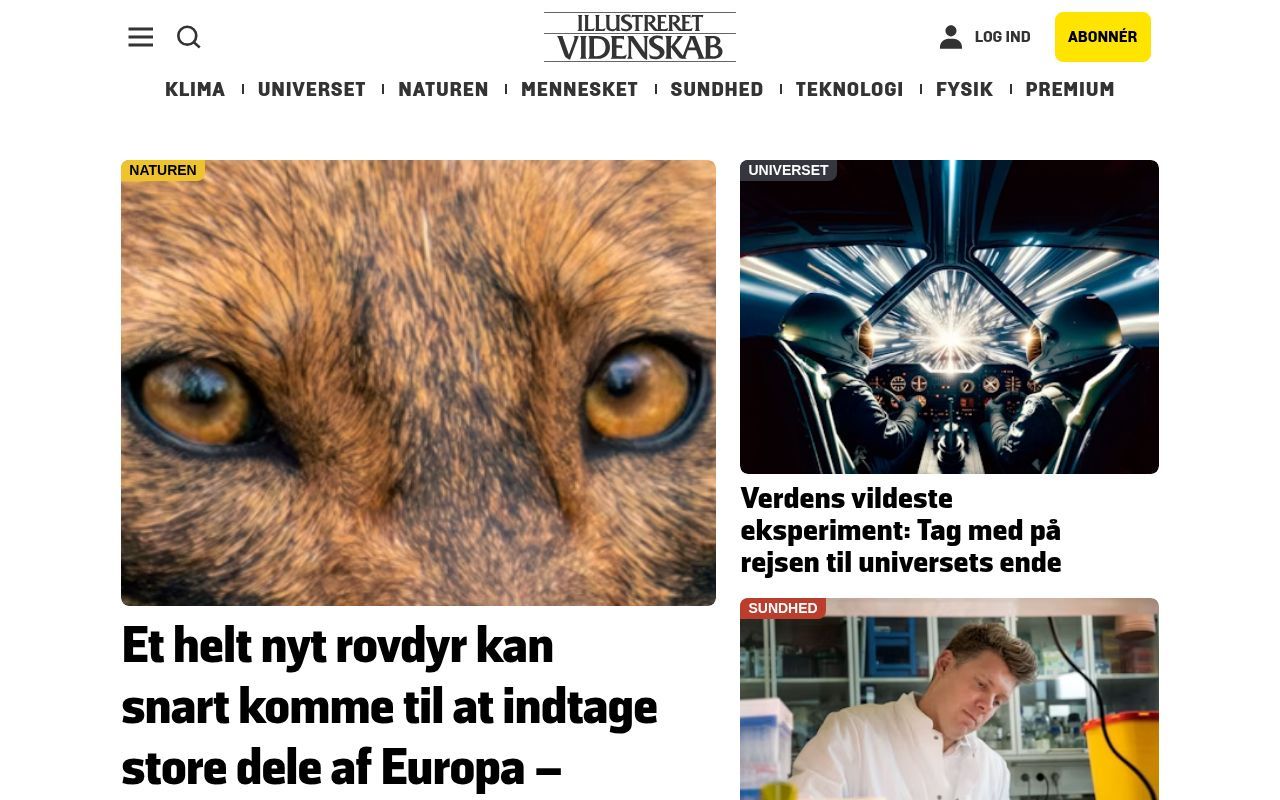 Homepage screenshot of illvid.dk