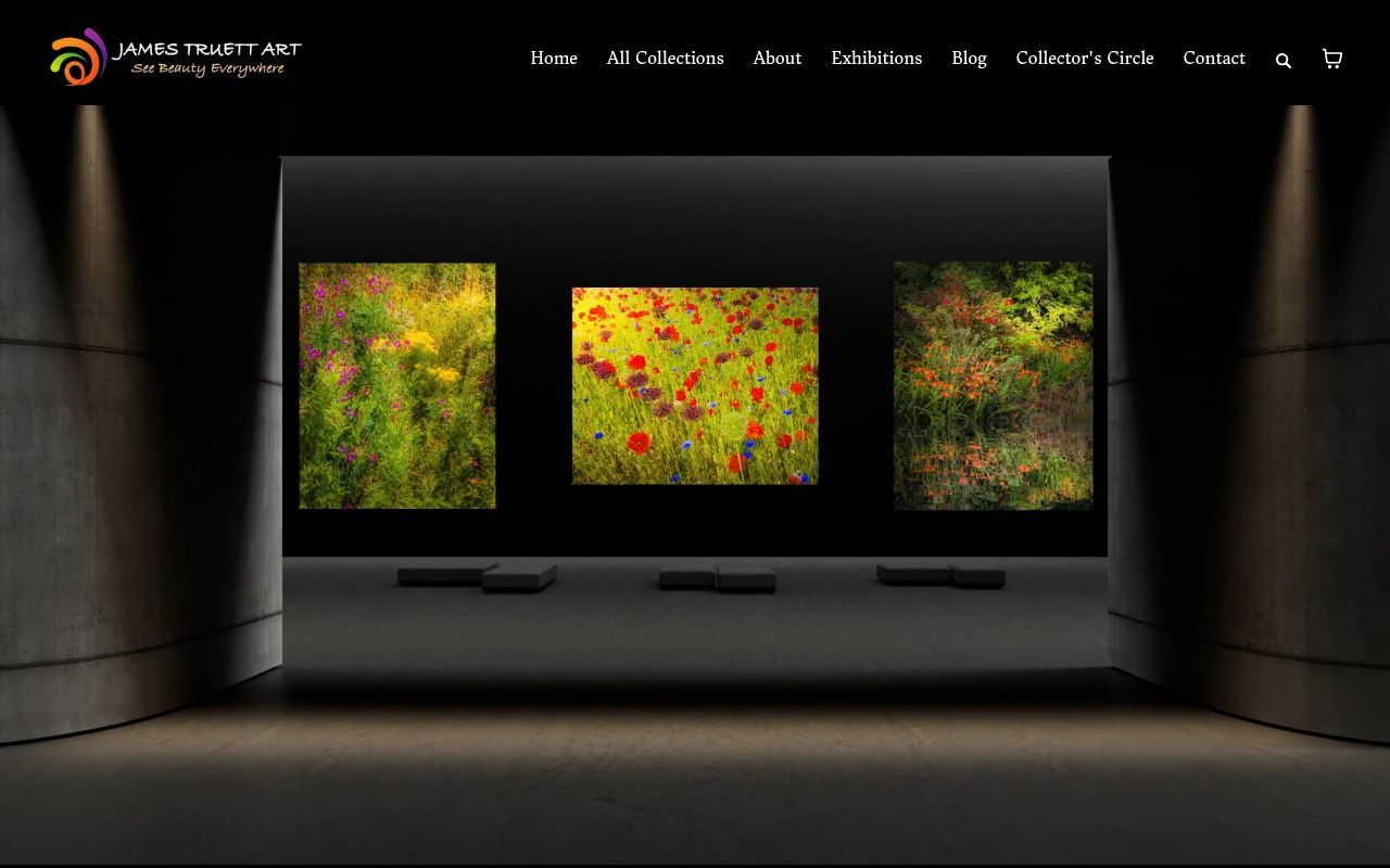 Homepage screenshot of jamestruettart.com