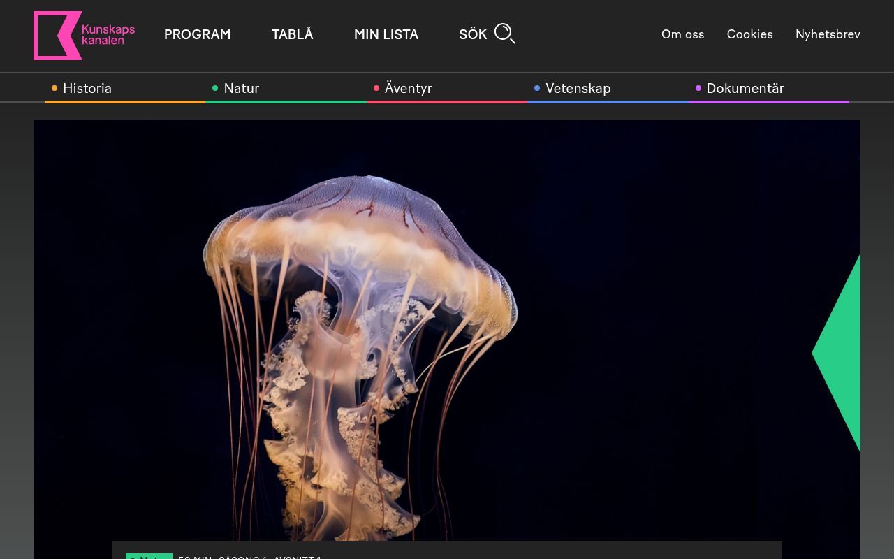 Homepage screenshot of kunskapskanalen.se