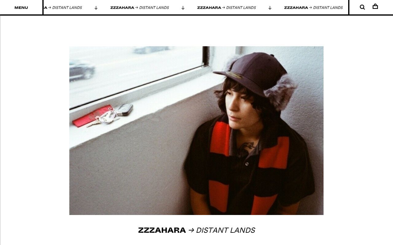 Homepage screenshot of lexrecords.com