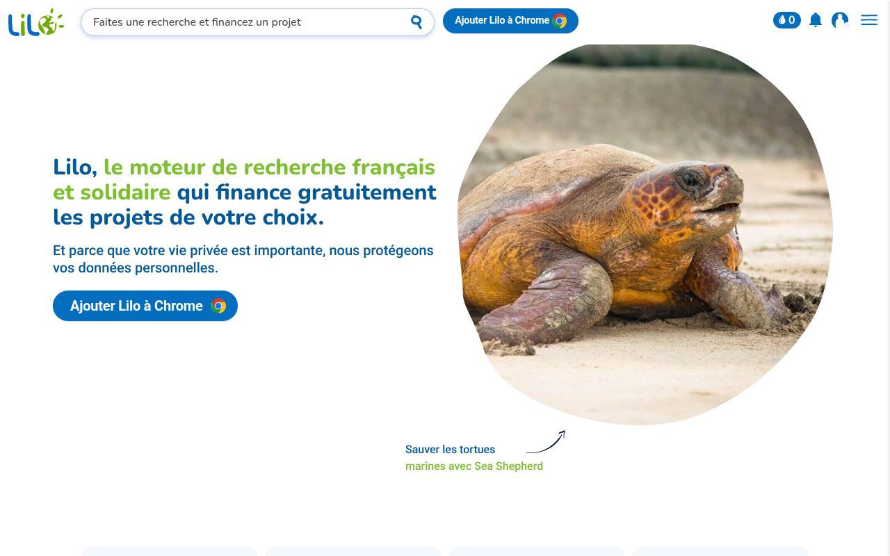 Homepage screenshot of lilo.org