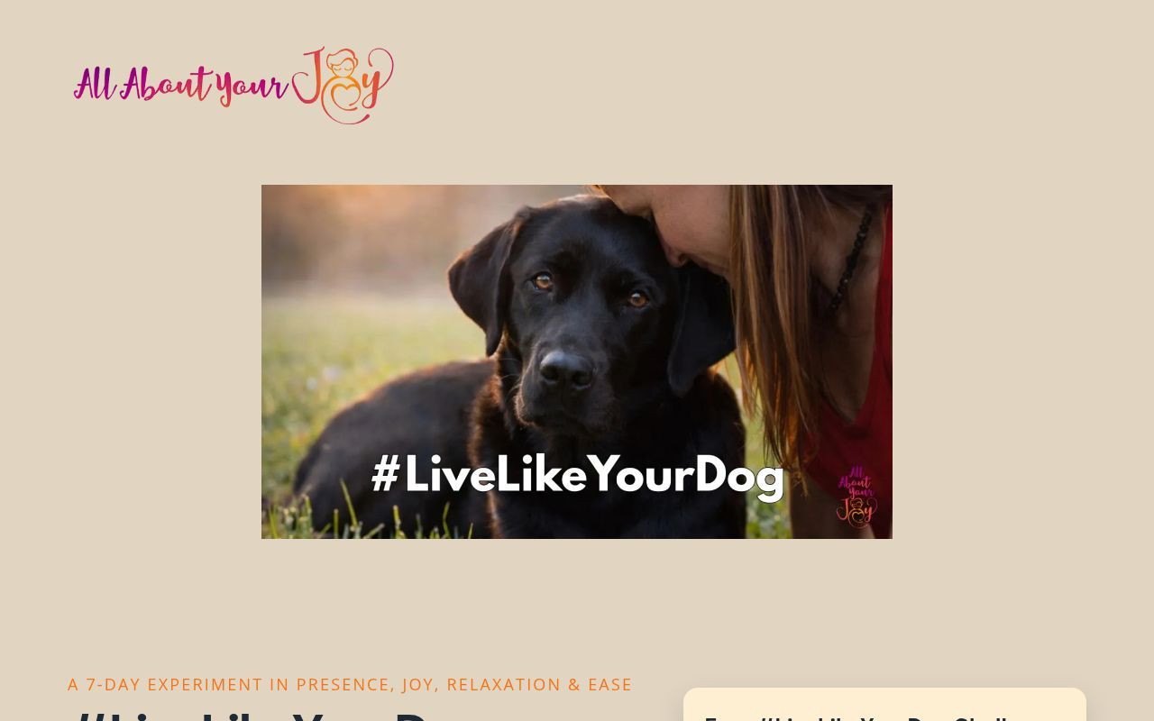 Homepage screenshot of llyd.allaboutyourjoy.com