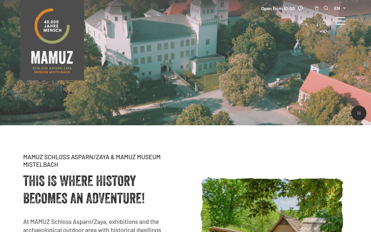 Homepage screenshot of mamuz.at