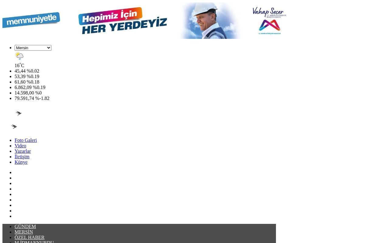 Homepage screenshot of mersinportal.com