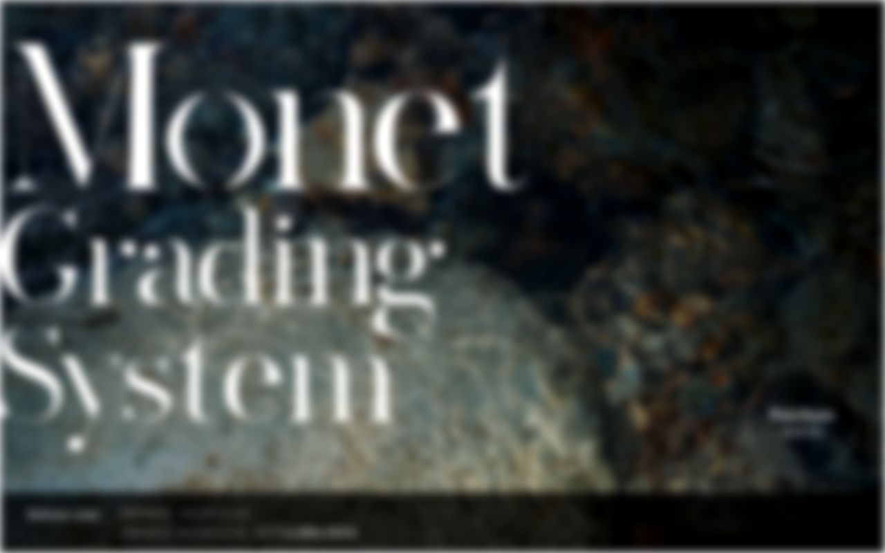 Homepage screenshot of monet-grading.studio.site