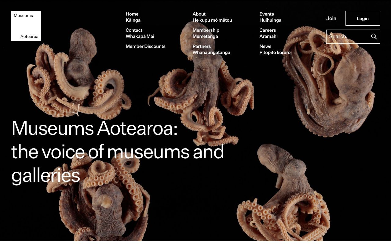 Homepage screenshot of museumsaotearoa.org.nz