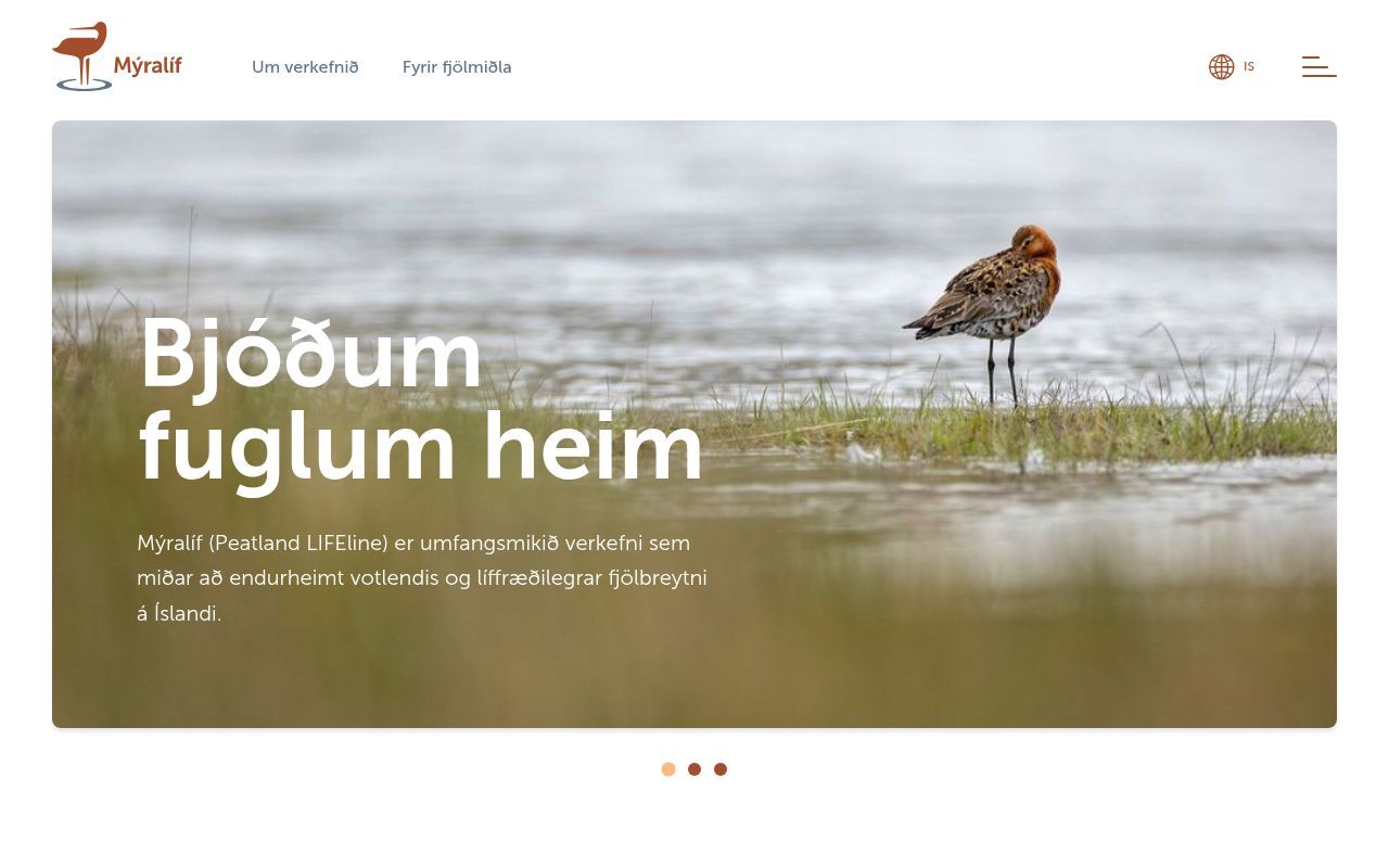 Homepage screenshot of myralif.is
