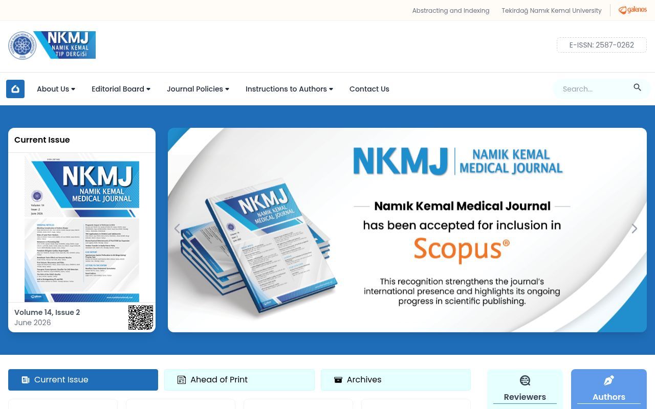 Homepage screenshot of namikkemalmedj.com