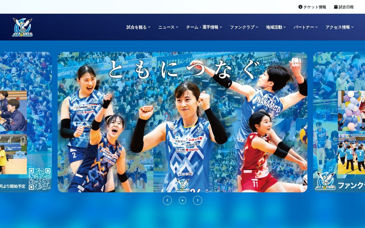 Homepage screenshot of okayama.v-seagulls.co.jp