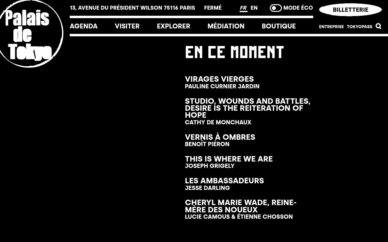 Homepage screenshot of palaisdetokyo.com