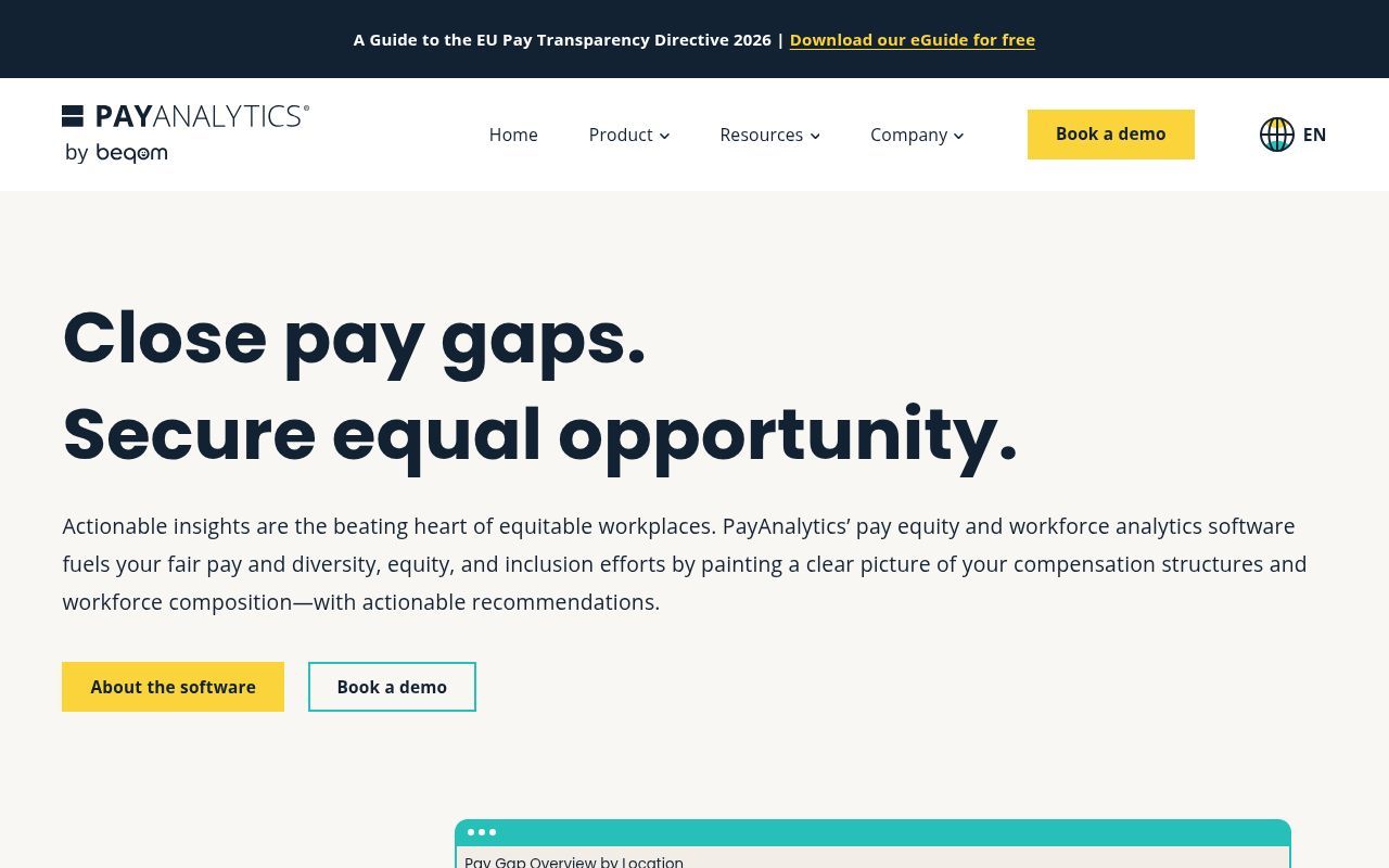 Homepage screenshot of payanalytics.com