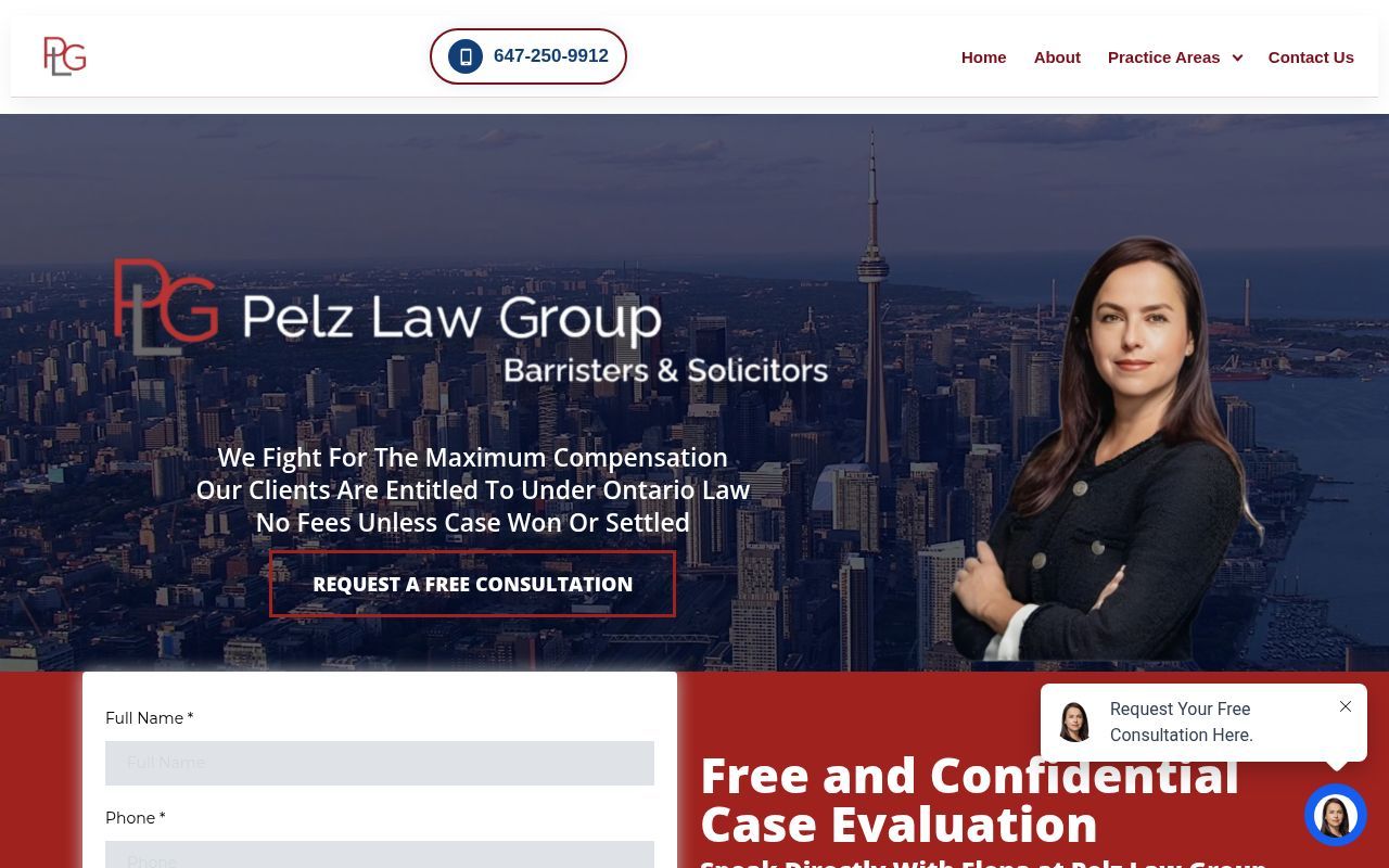 Homepage screenshot of pelzlawgroup.com