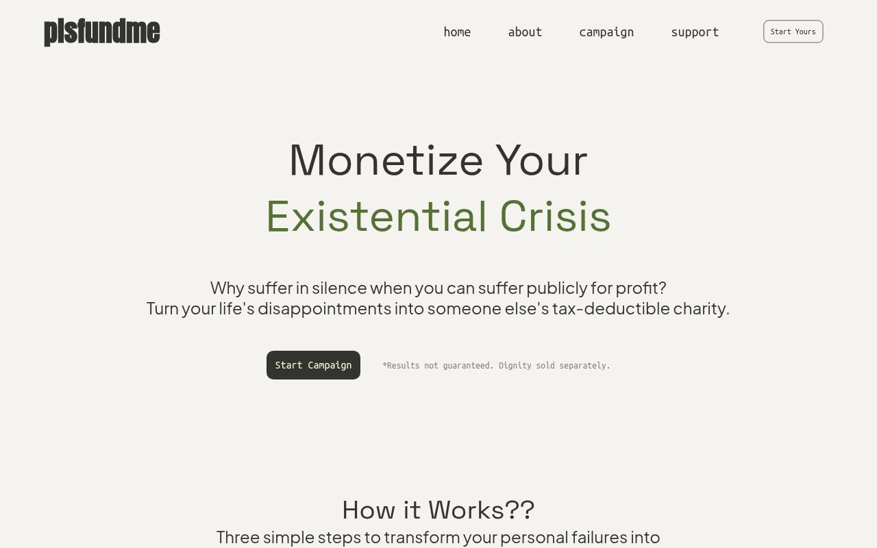 Homepage screenshot of plsfundme.sspiol.lol