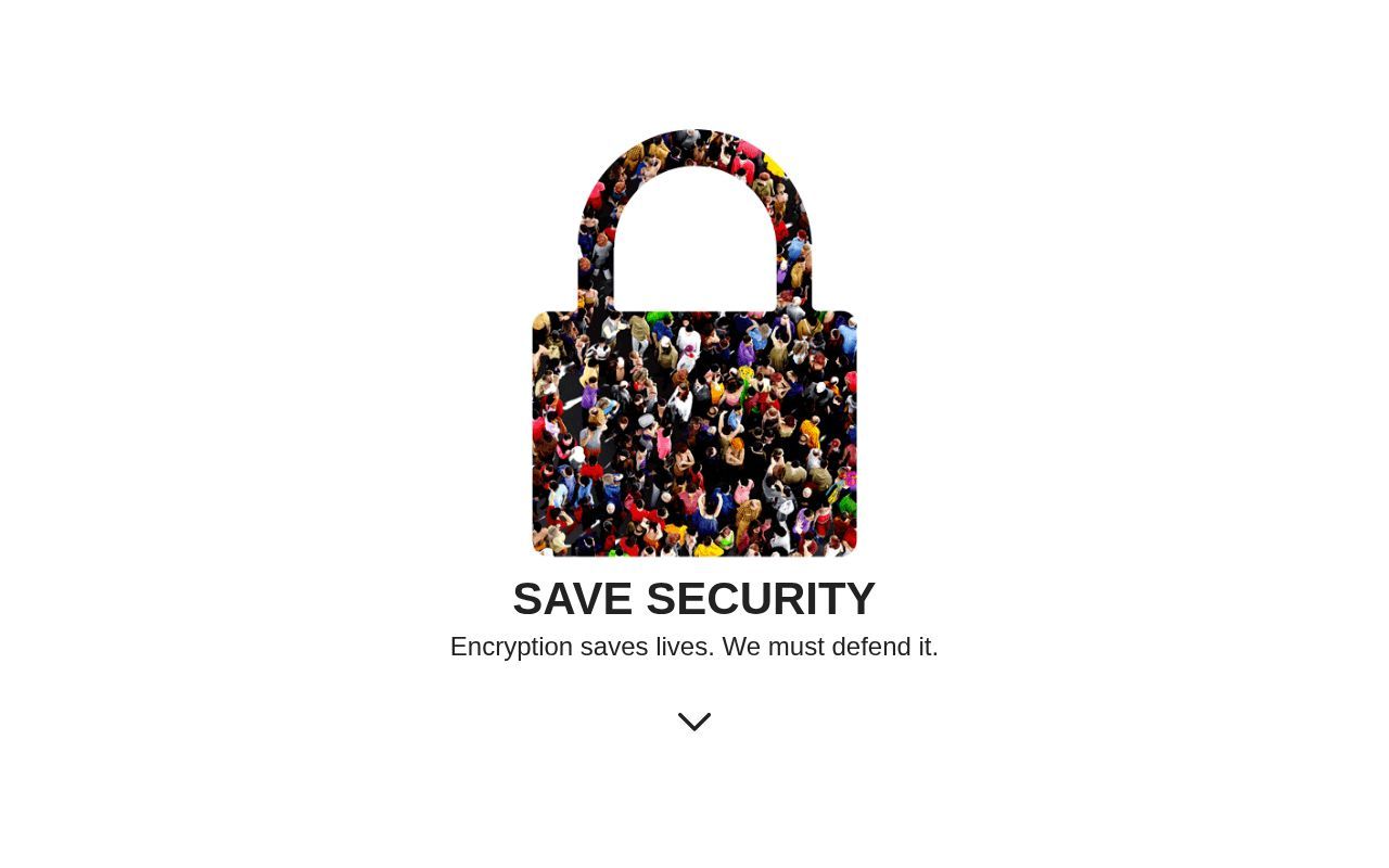Homepage screenshot of savesecurity.org