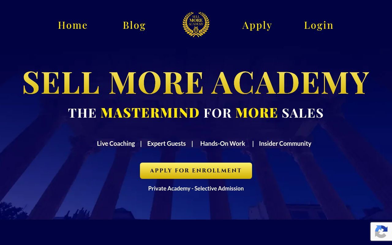 Homepage screenshot of sellmoreacademy.com