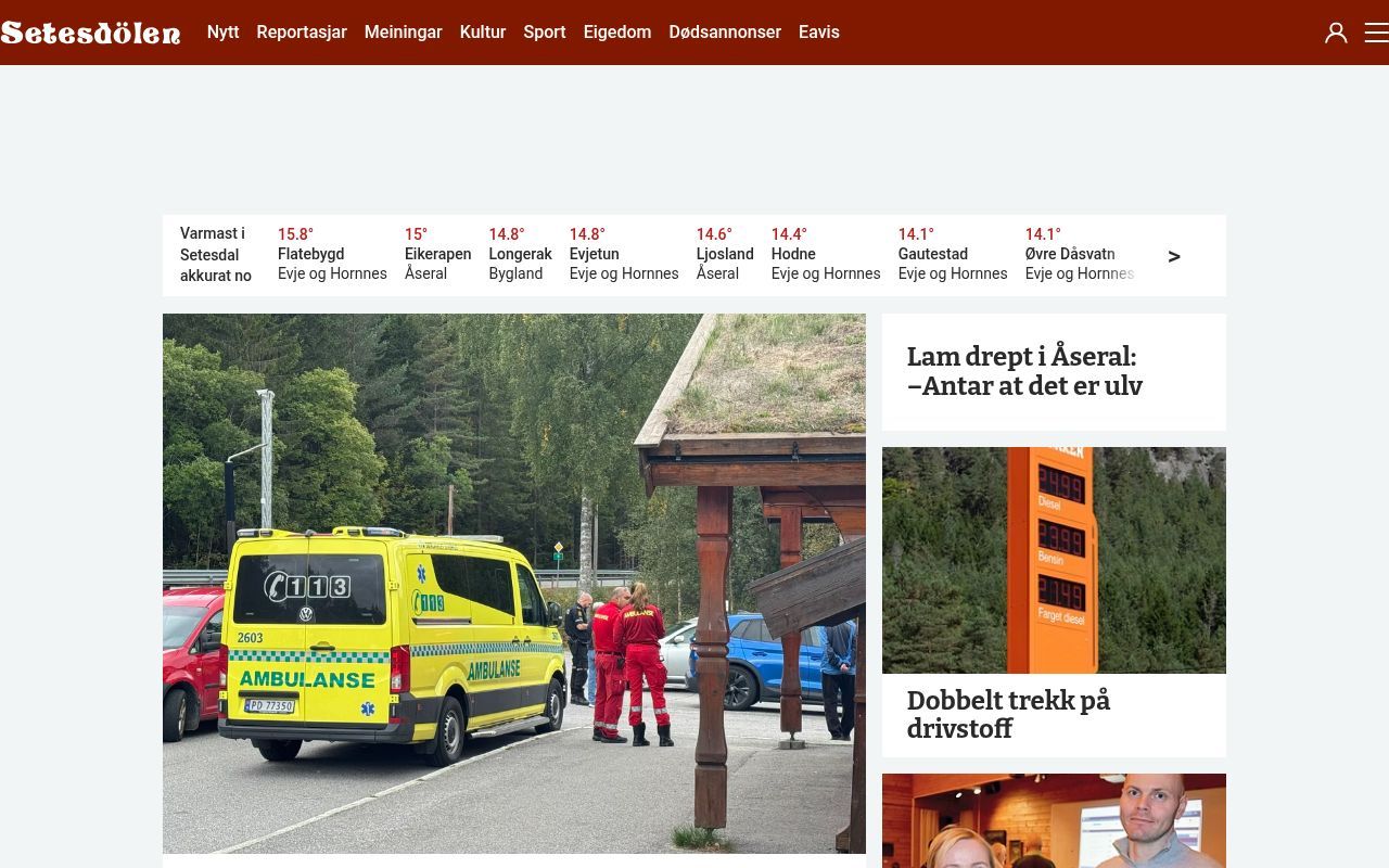 Homepage screenshot of setesdolen.no