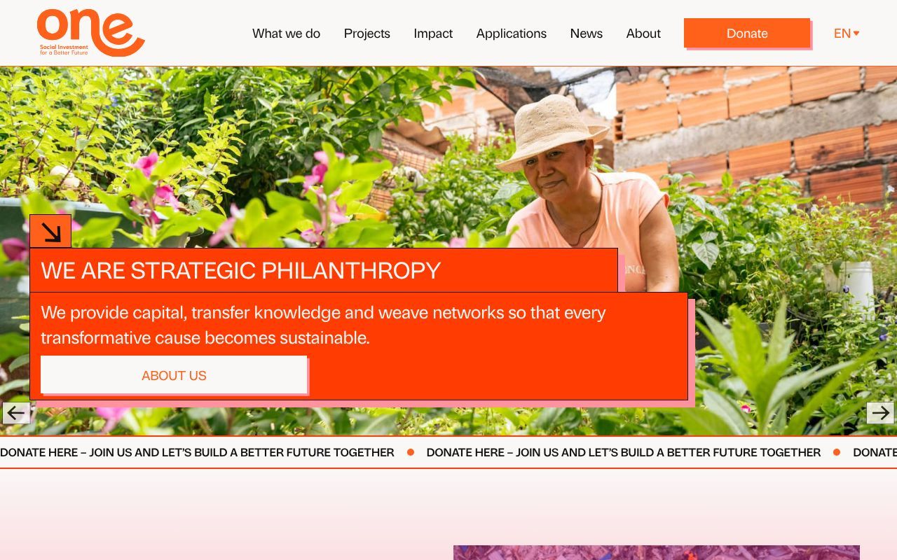 Homepage screenshot of somosone.com.co