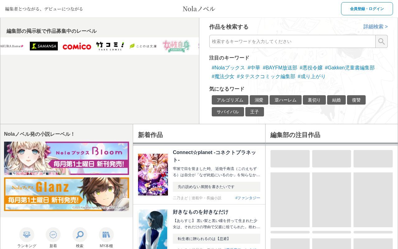 Homepage screenshot of story.nola-novel.com